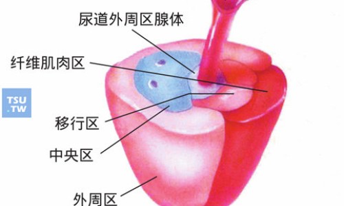 源首胶囊的作用-源首胶囊图片真实-源首胶囊婴儿用量,中国源首胶囊图片网站